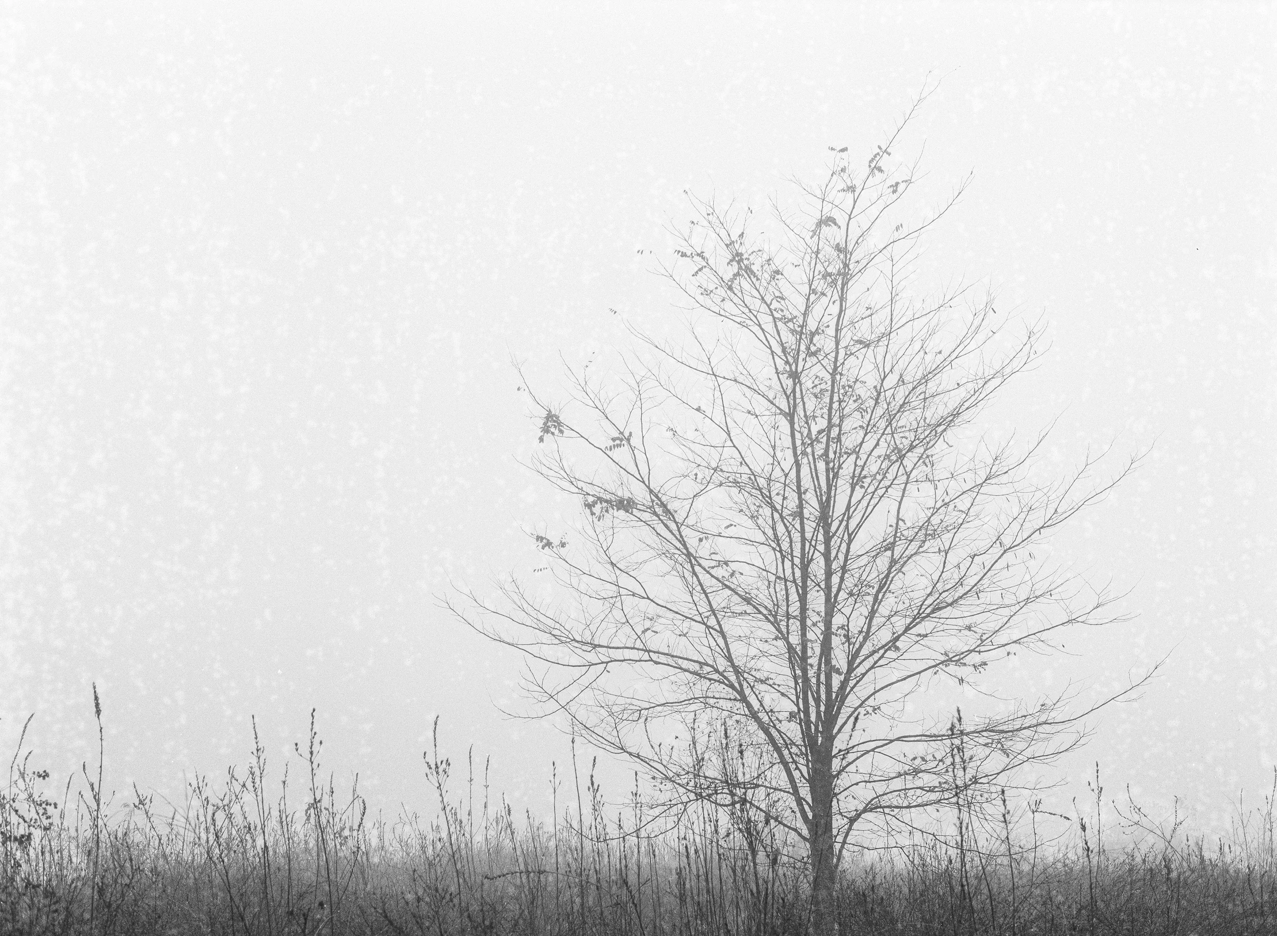 Fading