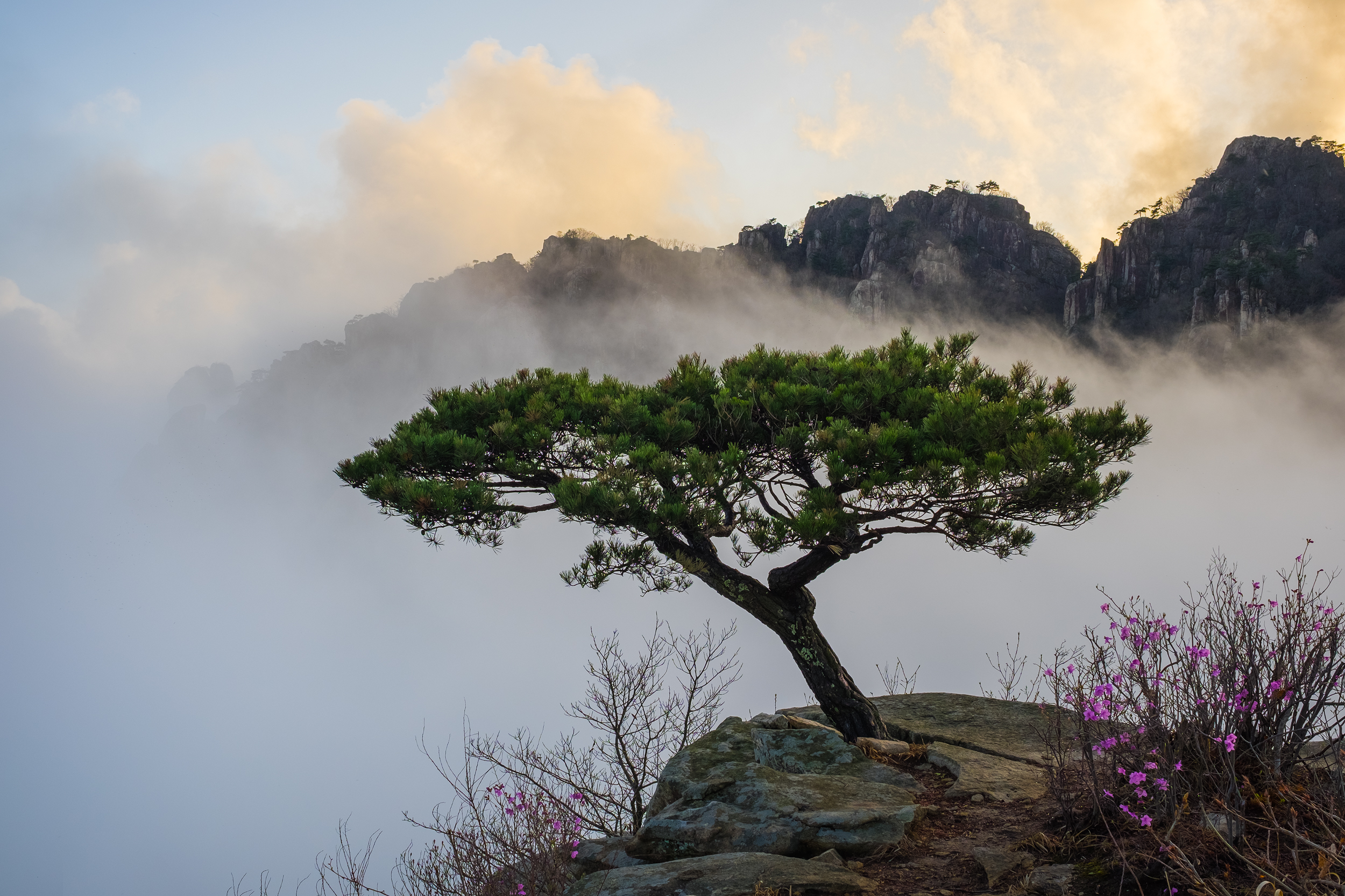 Sunset on the Mountain