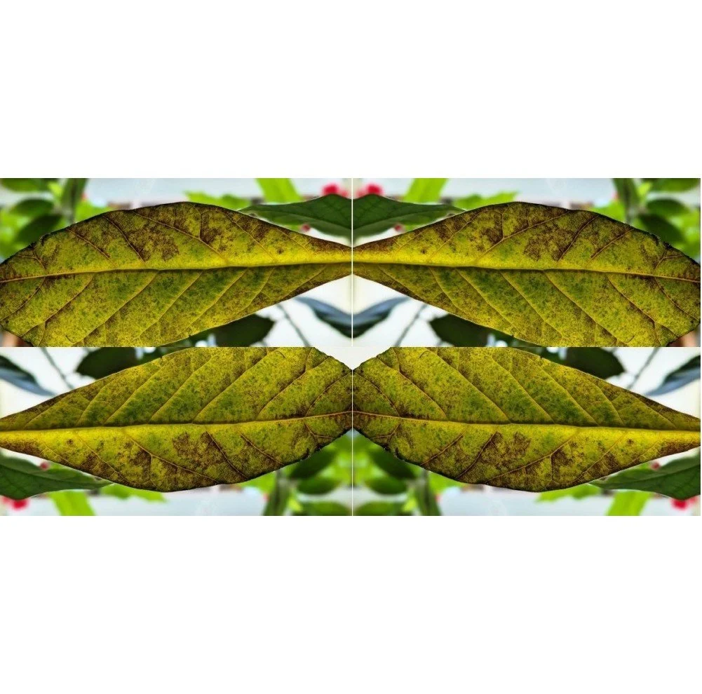 Leaf.Red.Flower.Grid.JennWood.copyright.jpg