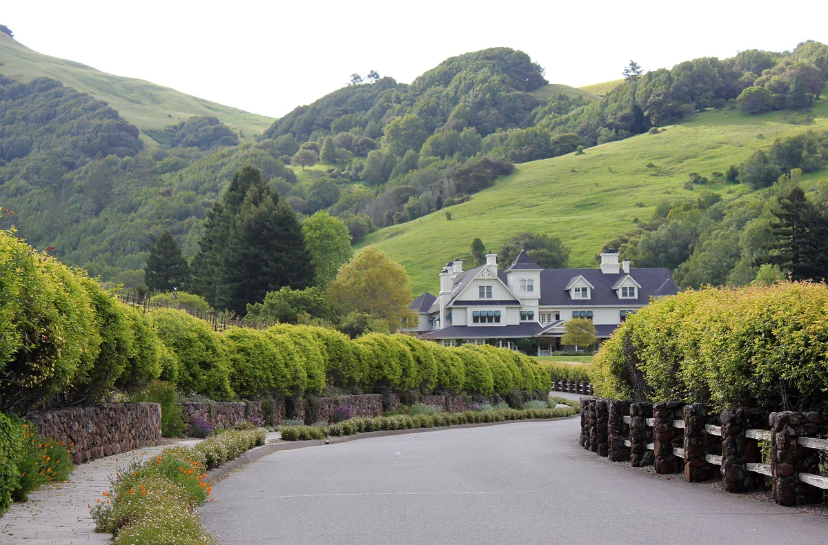 The land itself is stunning, with rolling hills, working vineyards, a bed and breakfast, and more. We'll have to return another time to appreciate all that, though—this weekend was all about the film. 