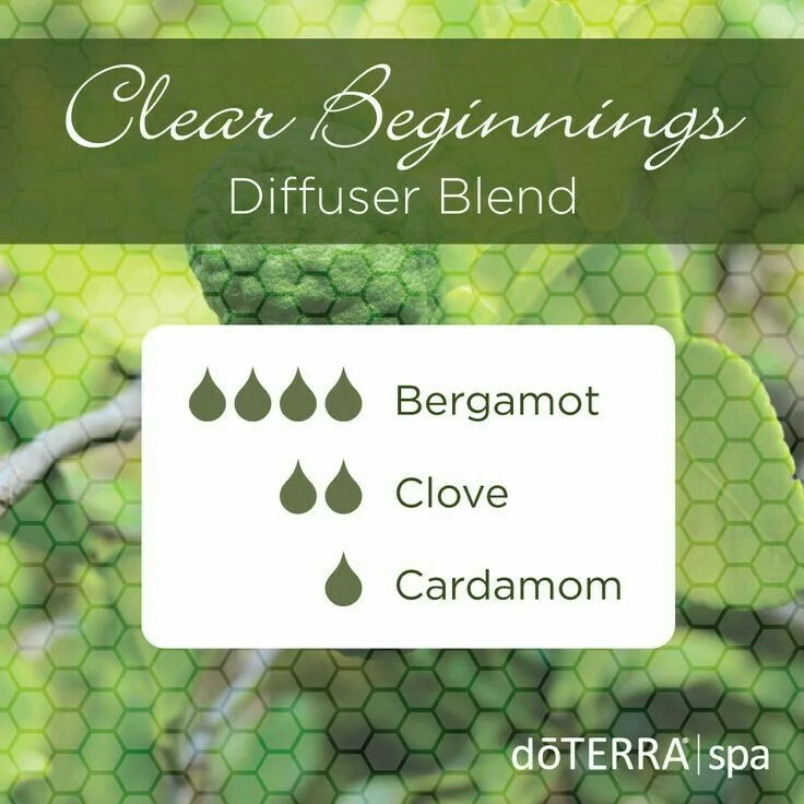 6266b94075d12586d99d484482138538--diffuser-blends-essential-oils.jpg