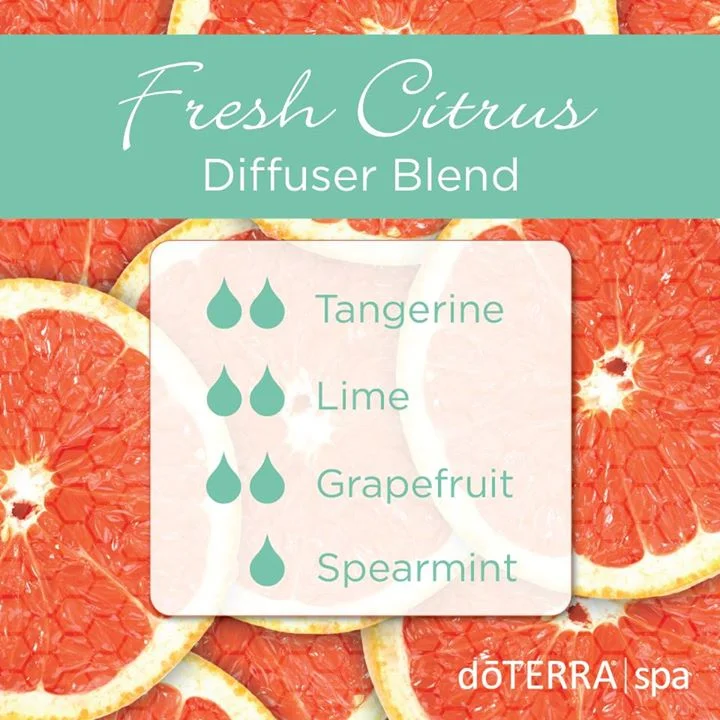 Fresh-Citrus-Diffuser-Blend.jpg