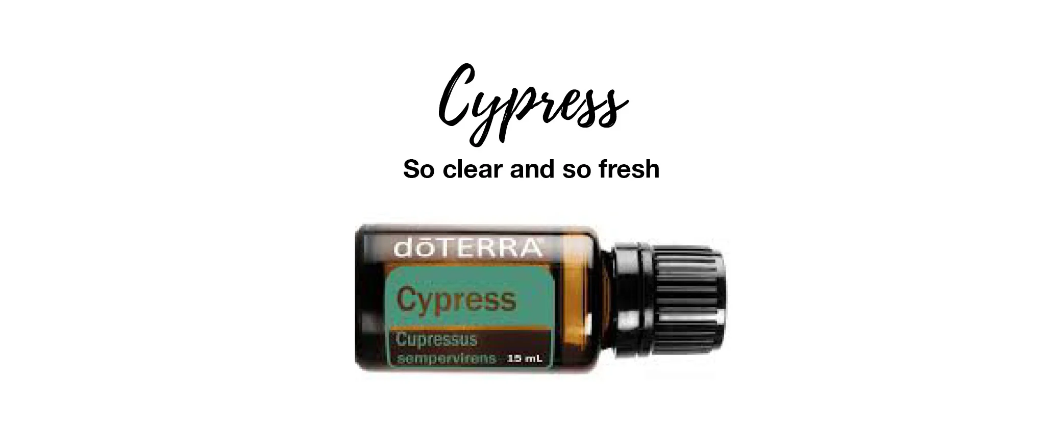 November bogo oils for blog post2.jpg