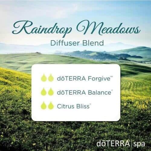 doTERRA-Essential-Oils-Raindrop-Meadows-Diffuser-Blend-500x500.jpg