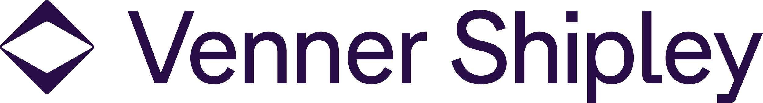 VS_Logo_Amethyst_RGB (1).png