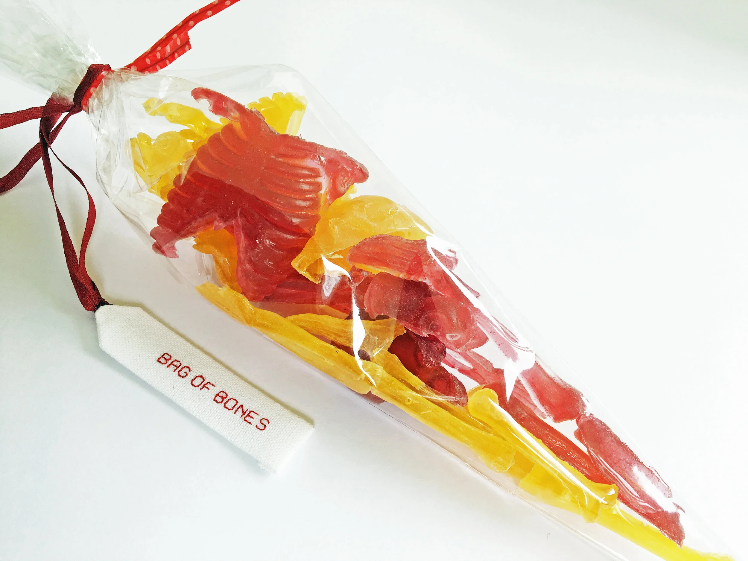 Bag of Bones Also exhibited in: 14th International London Eating Disorders Conference, QEII Centre, Westminster (March 2019)
