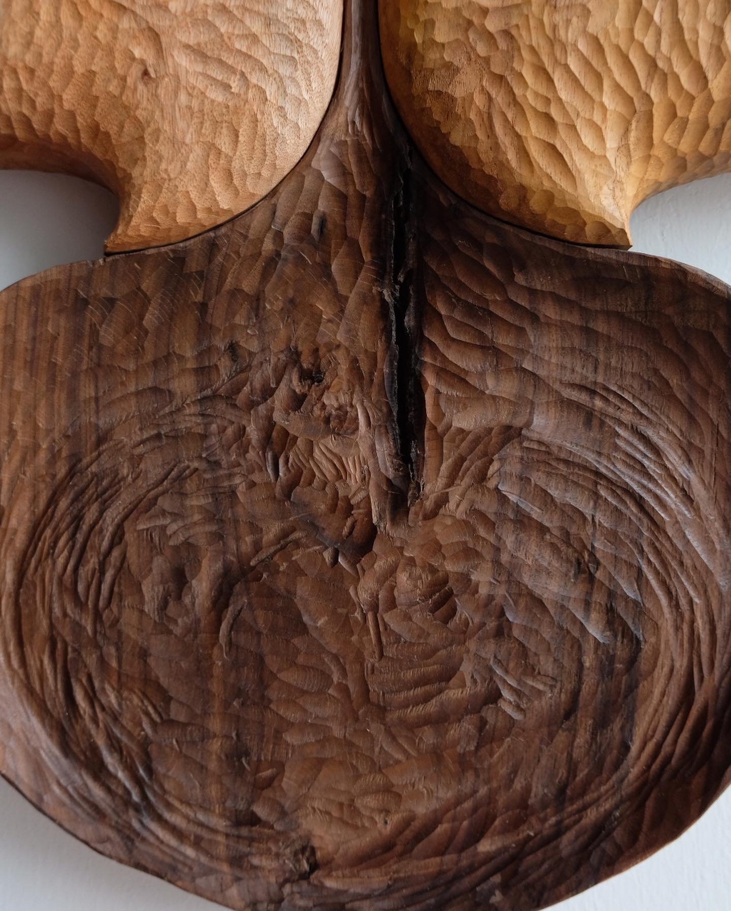   Seed,  2022, Hand carved suar, teak and walnut, 77cm x 62cm x 5cm (detail). 