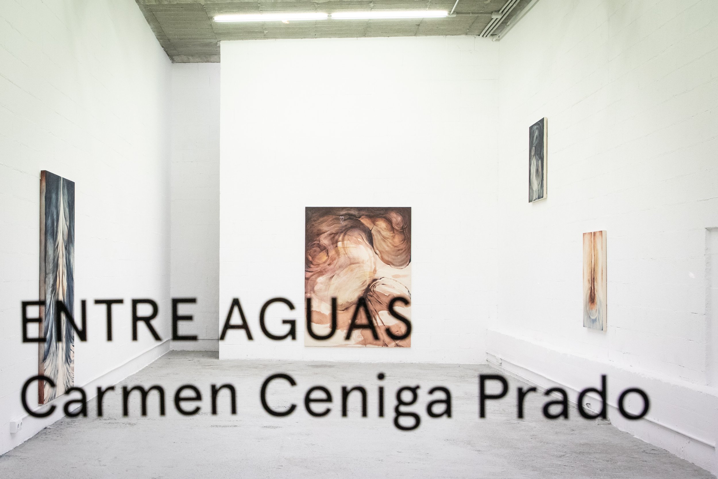  Install shot of solo show “Entre Aguas”, Aldama Fabre Gallery, November 2022. Photography Lucia Vittoria Sabba. 