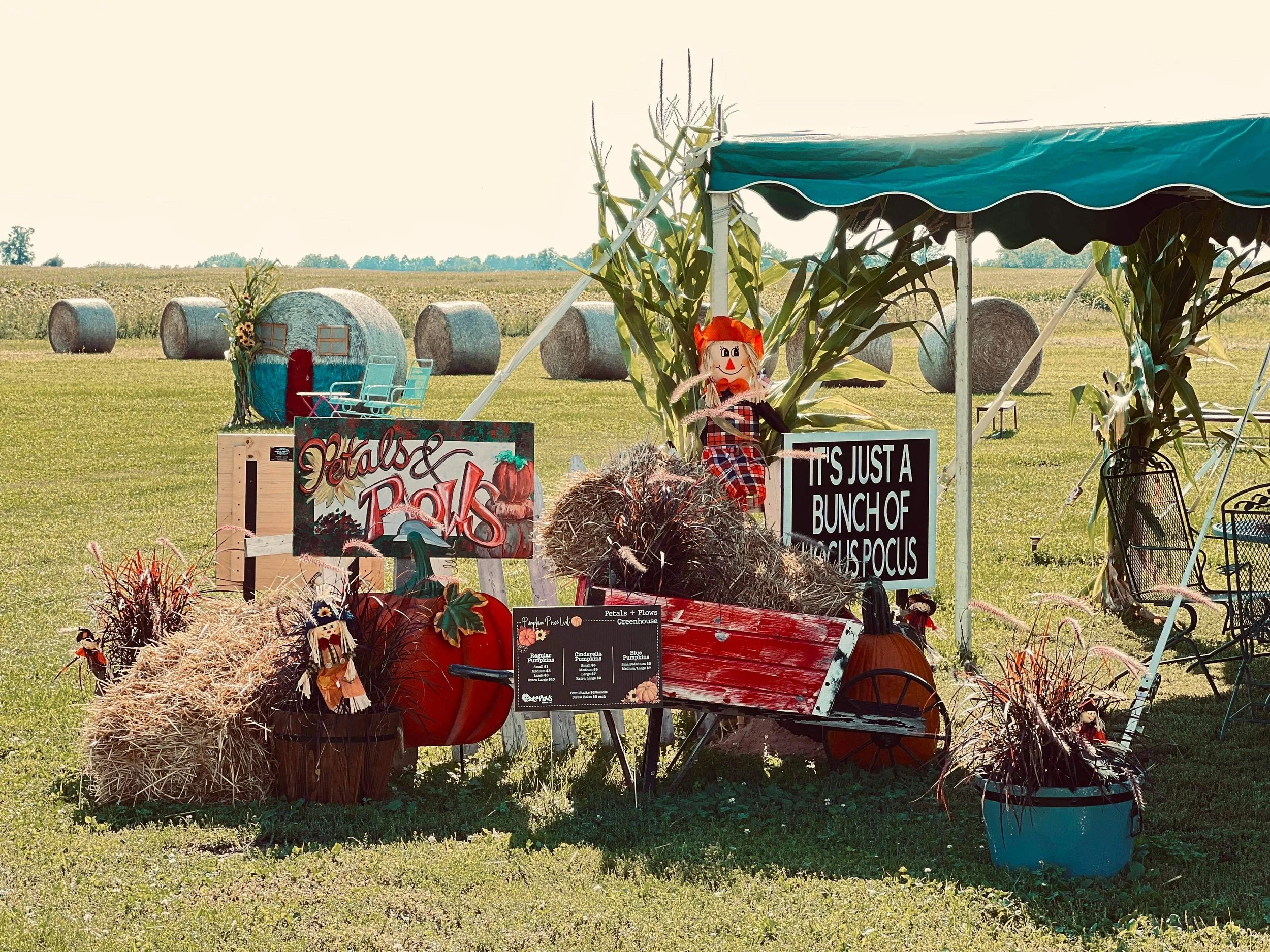 Fall Activities — Petals & Plows Greenhouse