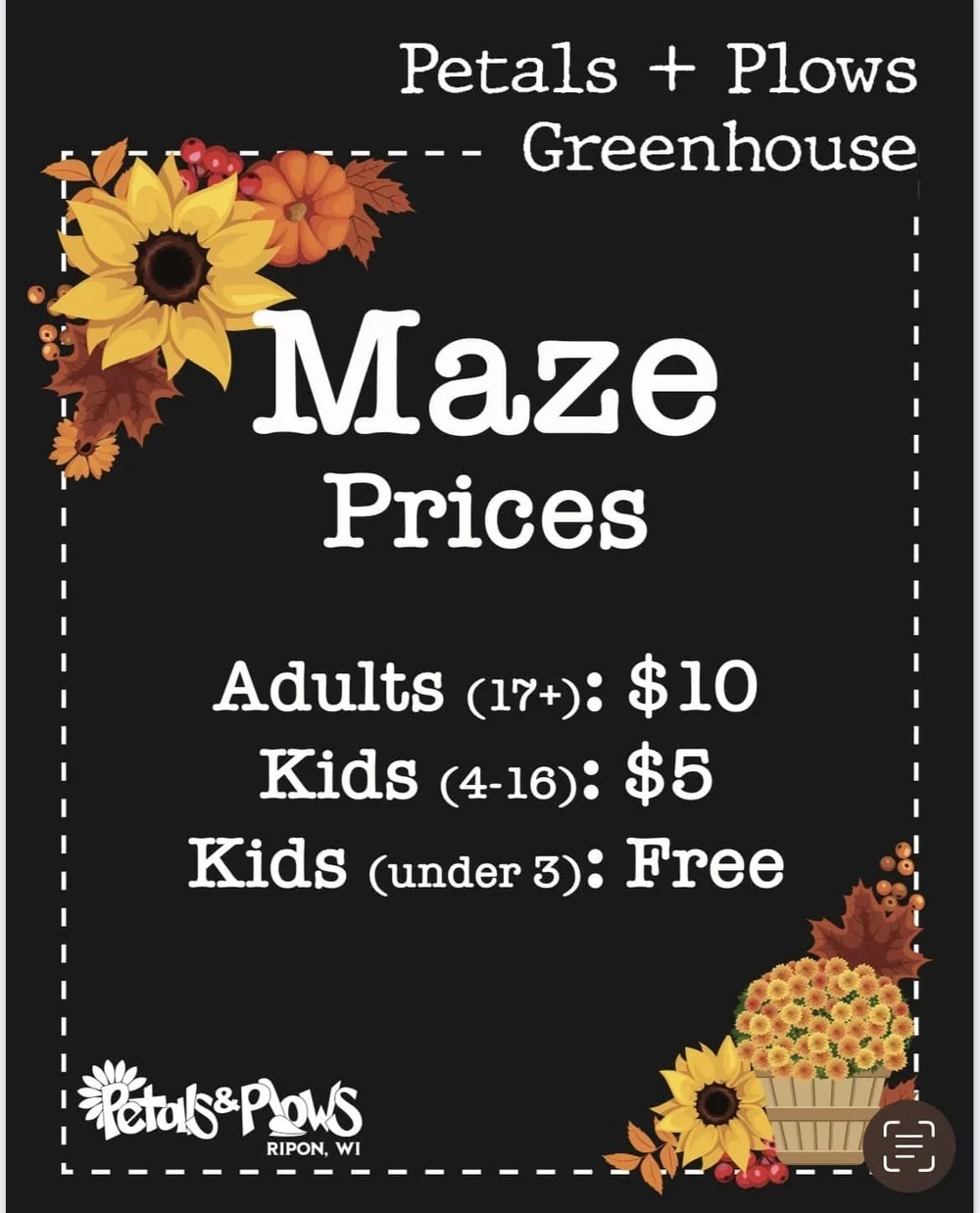 Corn Maze — Petals & Plows Greenhouse