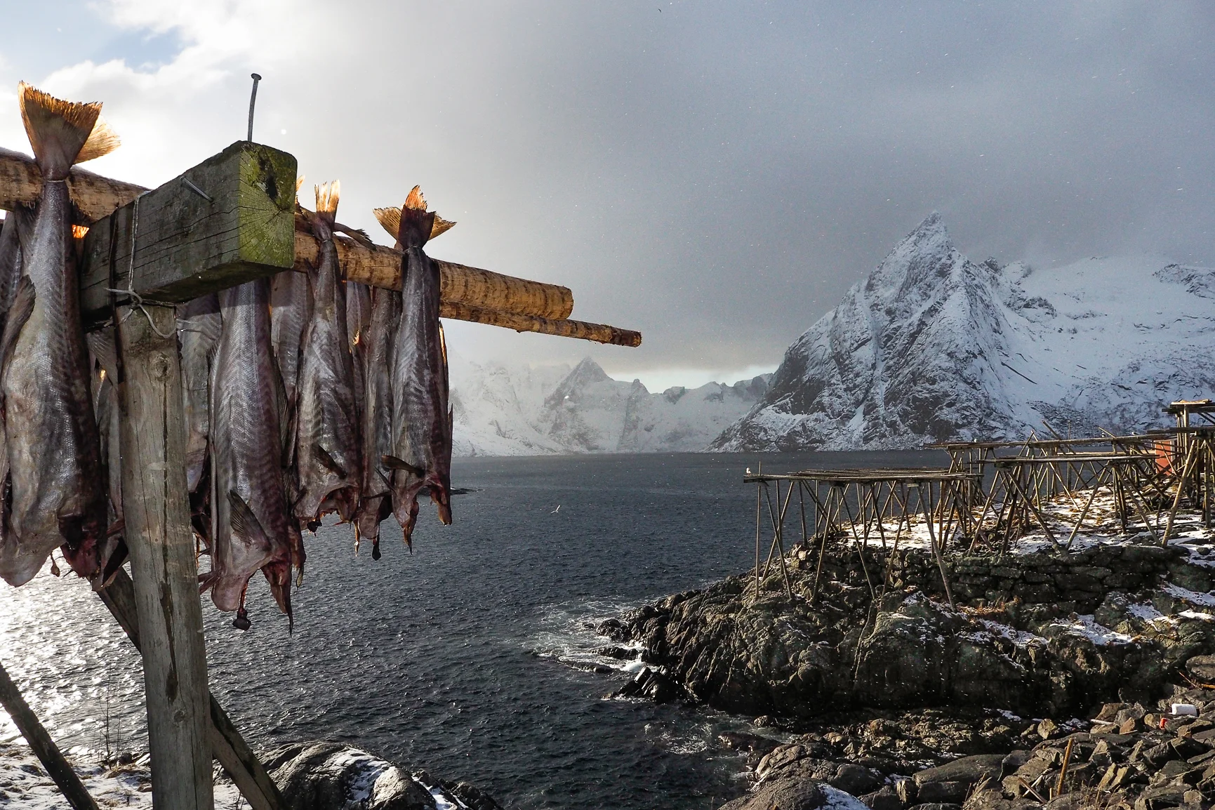 _3250344_lofoten_olympus.jpg