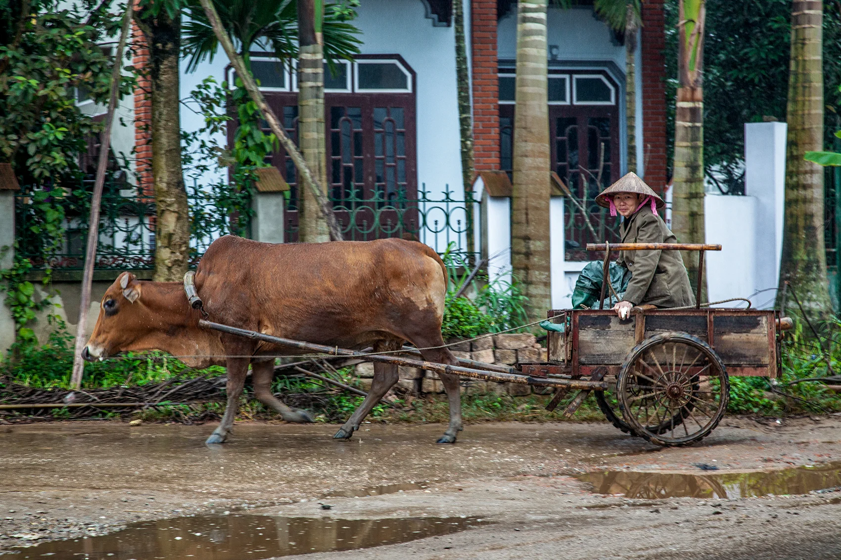 _MG_5354.jpg