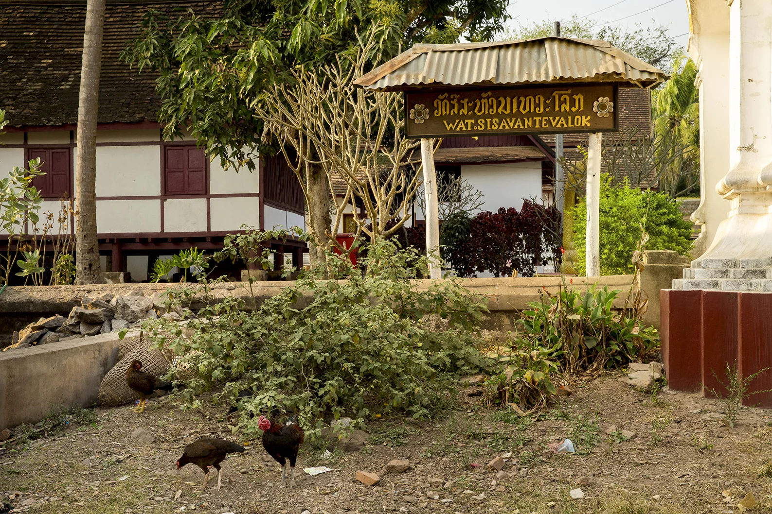 _POP1429laos_buons_hjemkomst.jpg