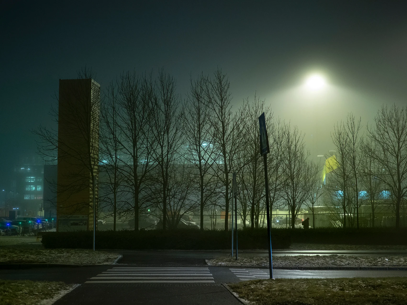 _1180113 (1).jpg