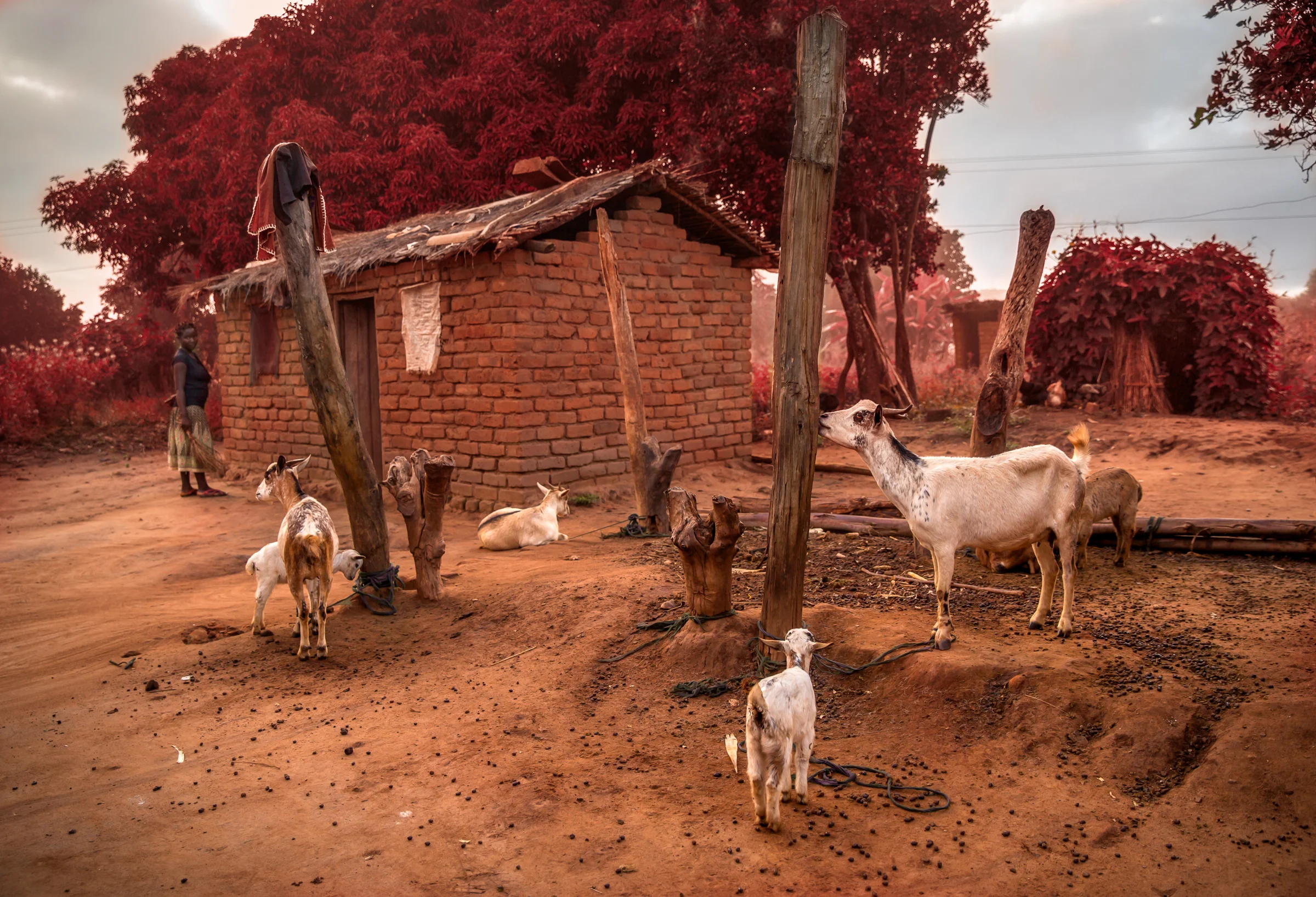 _POP4371_malawi_2018_broken_earth.jpg