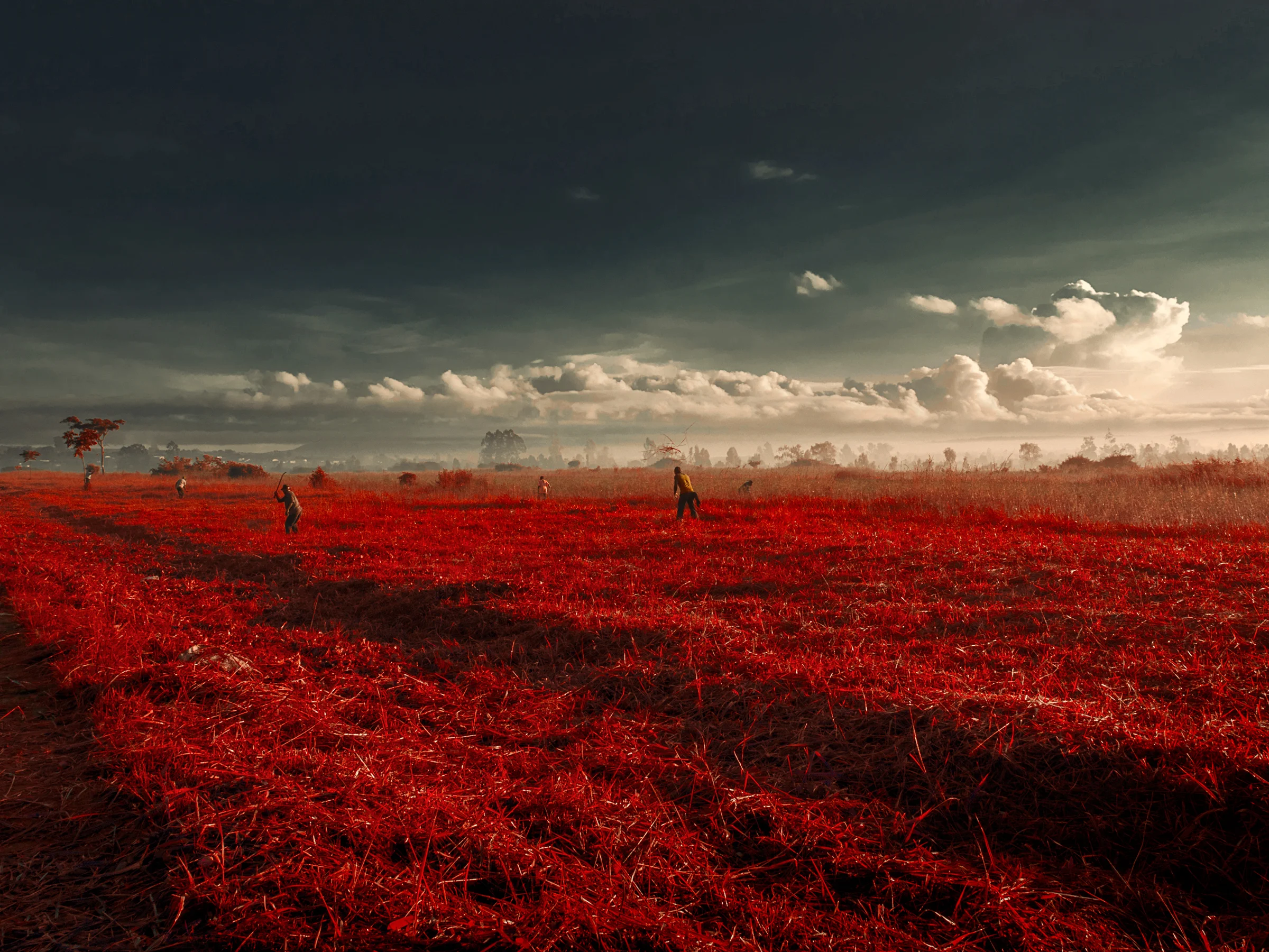 _TP02842_broken_earth.jpg