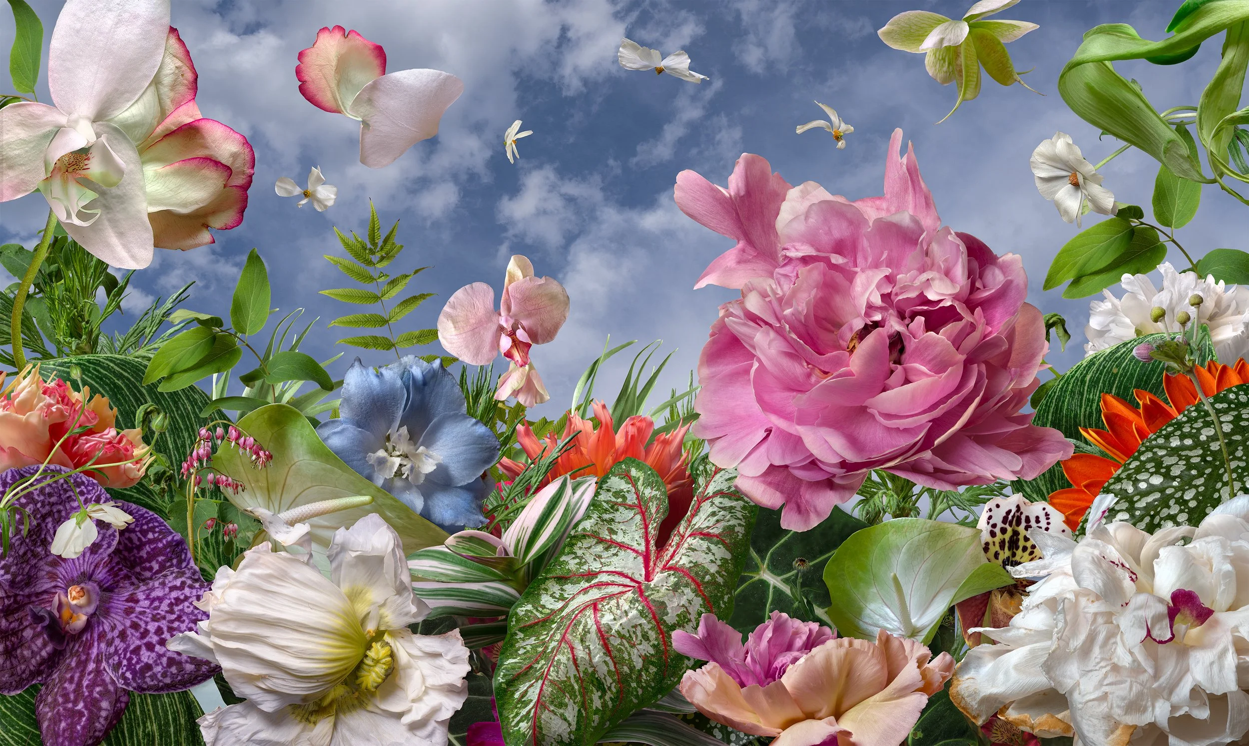 runni-mange_rosa_156x93@0.25x.jpg
