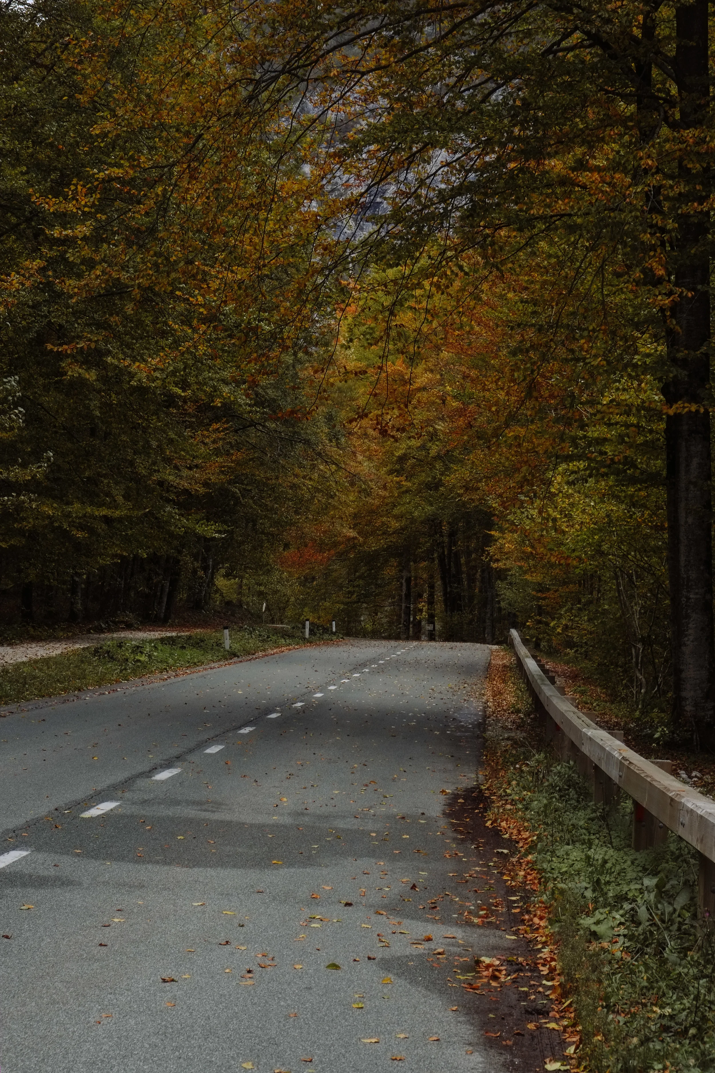 Slovenia_Bled_Lesly 02.jpg
