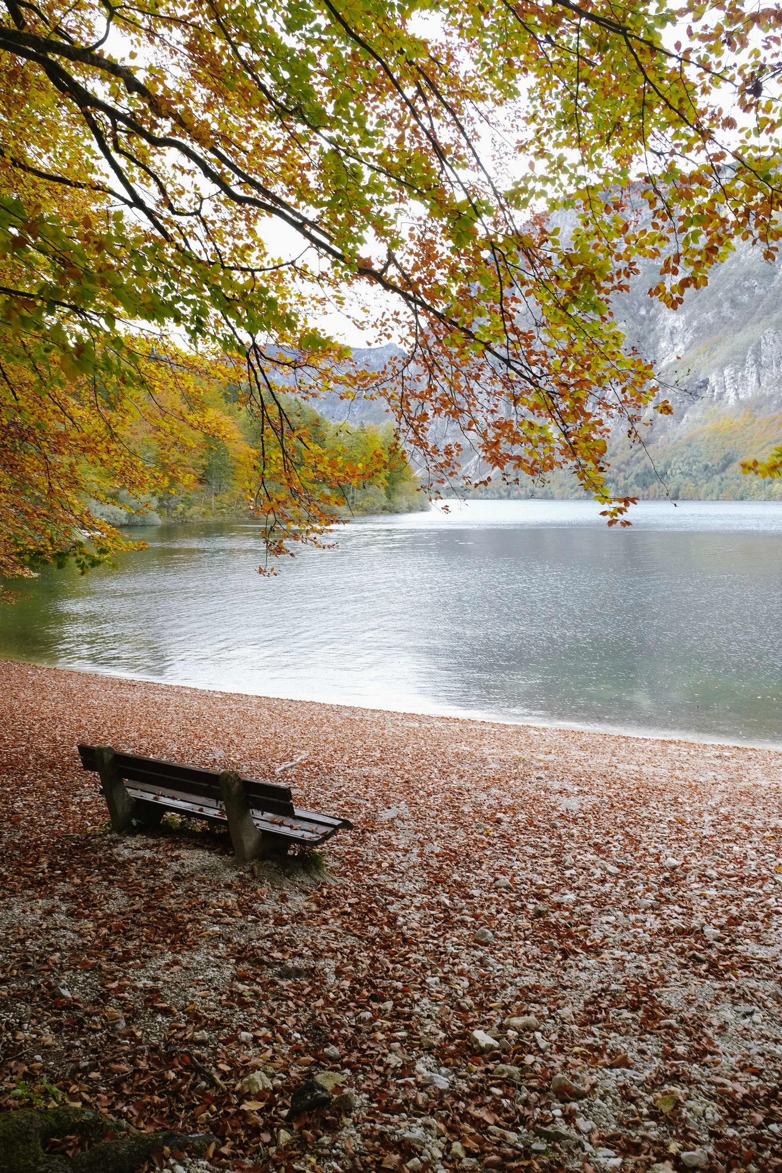 Slovenia_Bled_Lesly Lotha 12.jpg