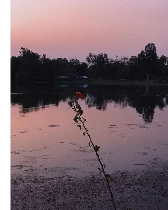 Singularity. Digital / film