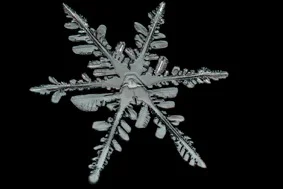snow1.jpg
