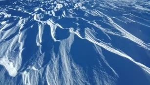 snow1.jpg