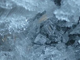 snow 2.jpg
