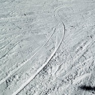 skiingPicture3.jpg