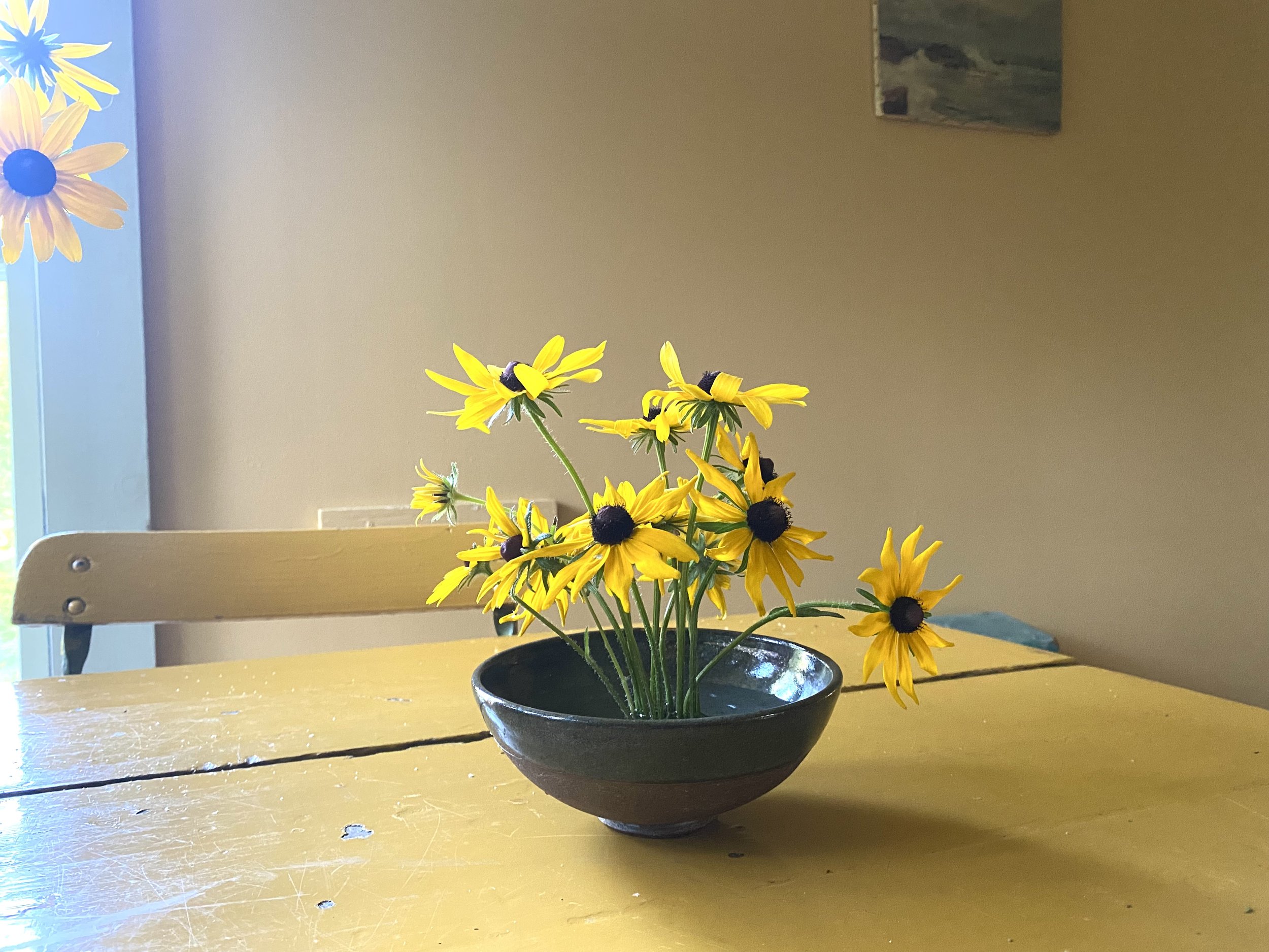 IMG_4195.jpeg
