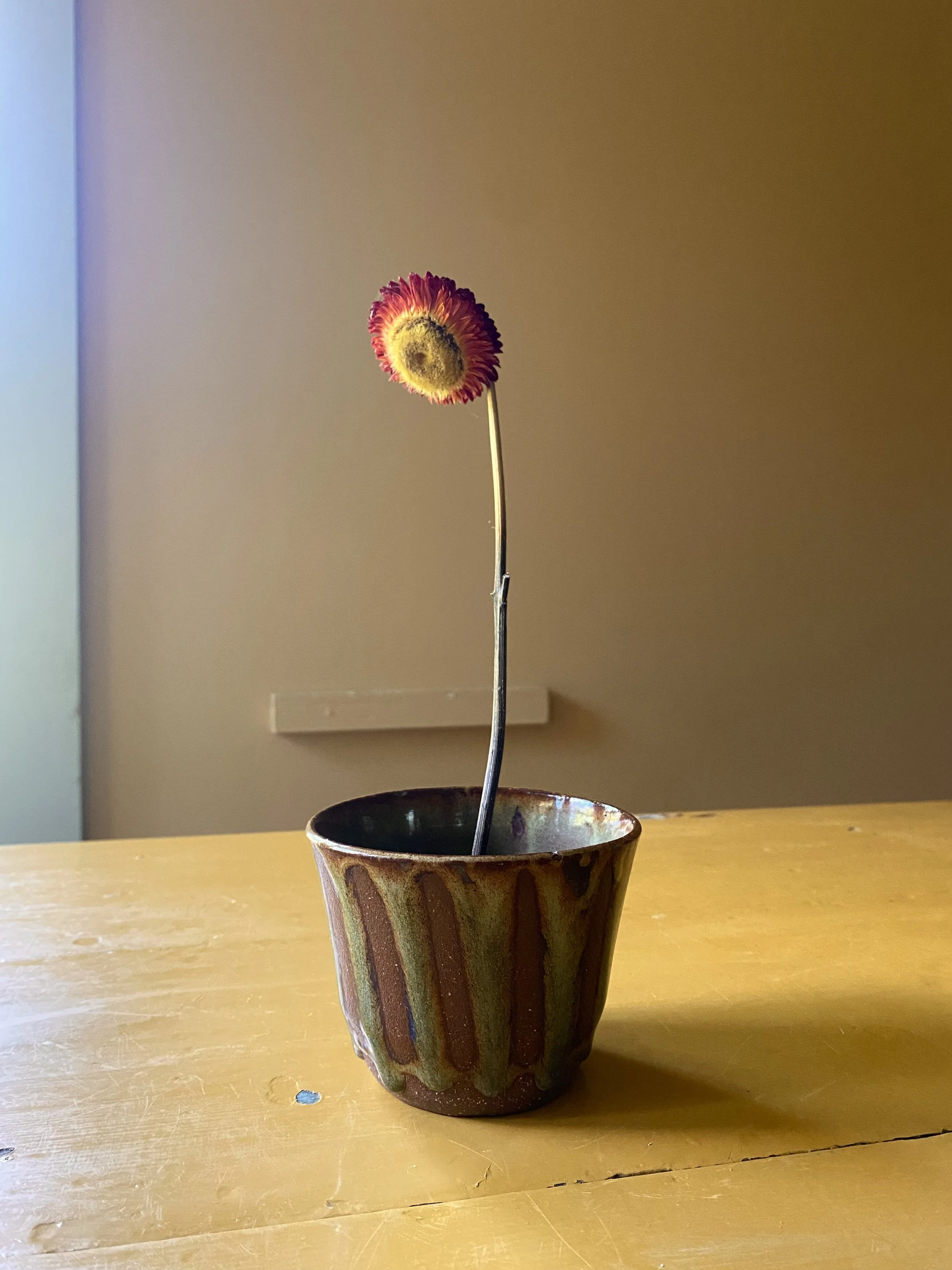 IMG_4552.jpeg