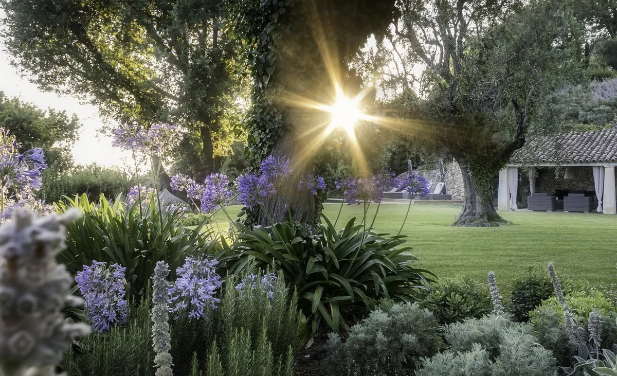 Freshly planted garden