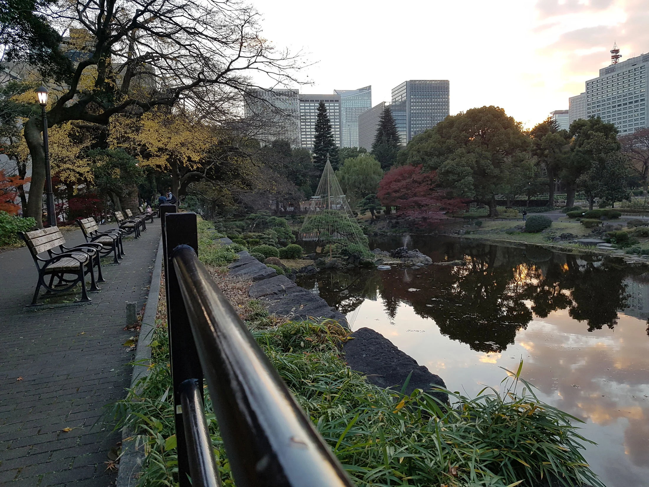 20161207_161443 copy.jpg