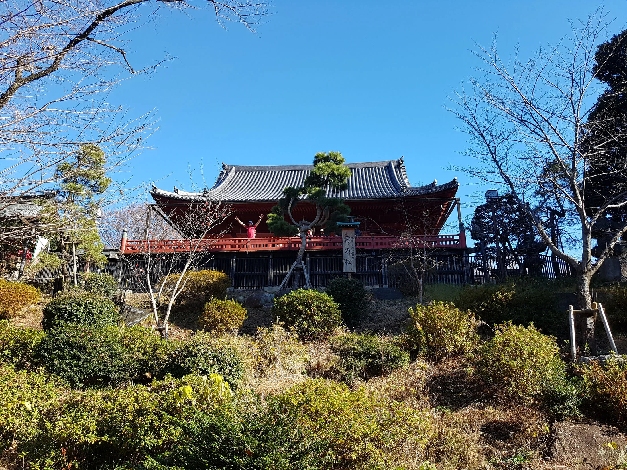 20161211_115443 copy.jpg