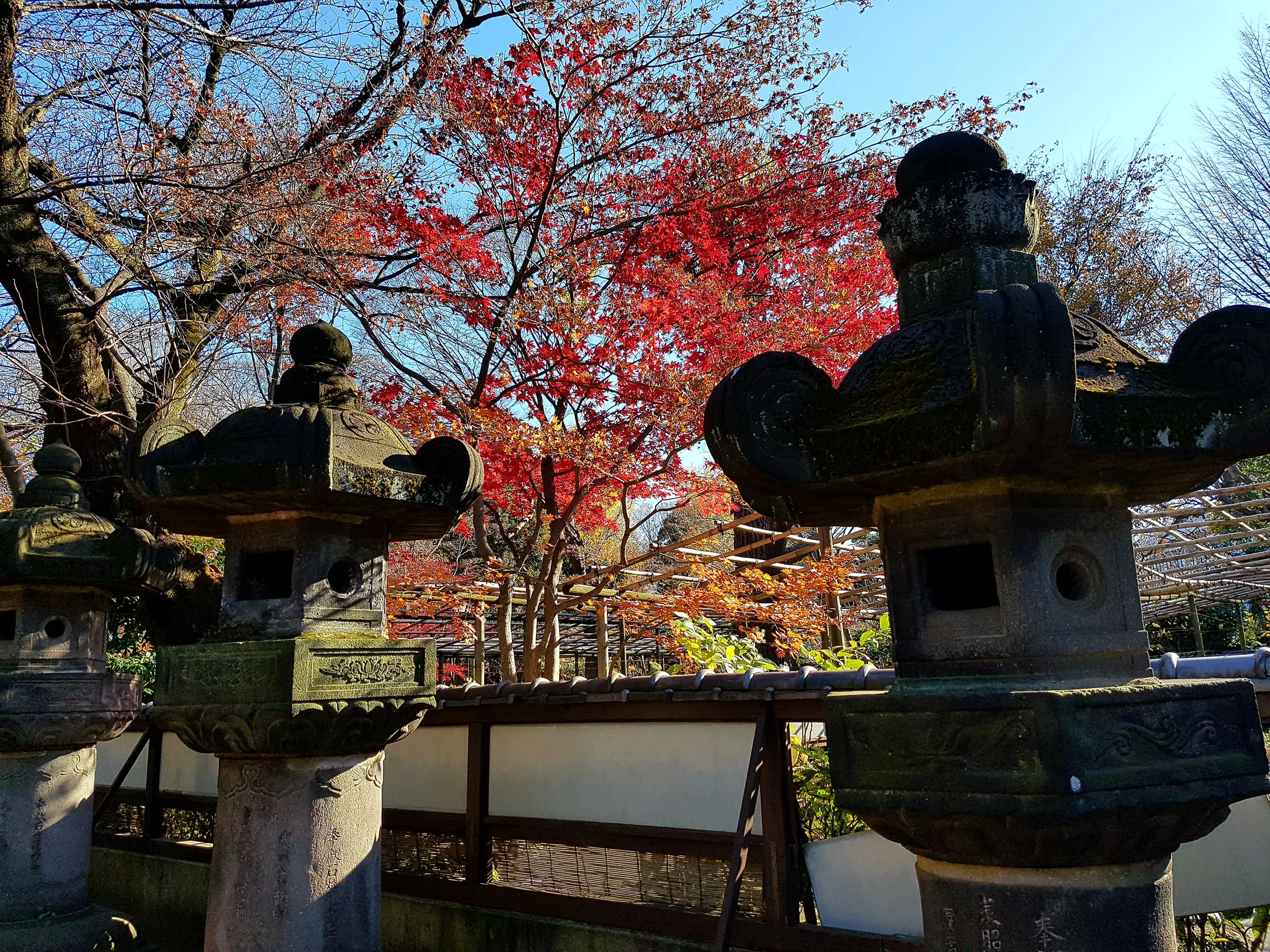 20161211_131241 copy.jpg