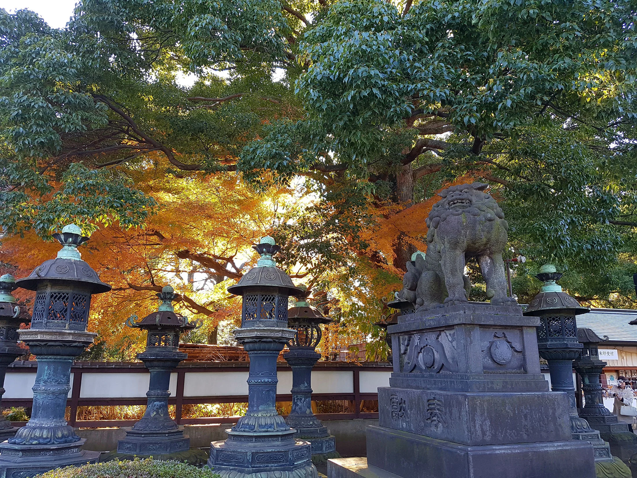 20161211_131707 copy.jpg