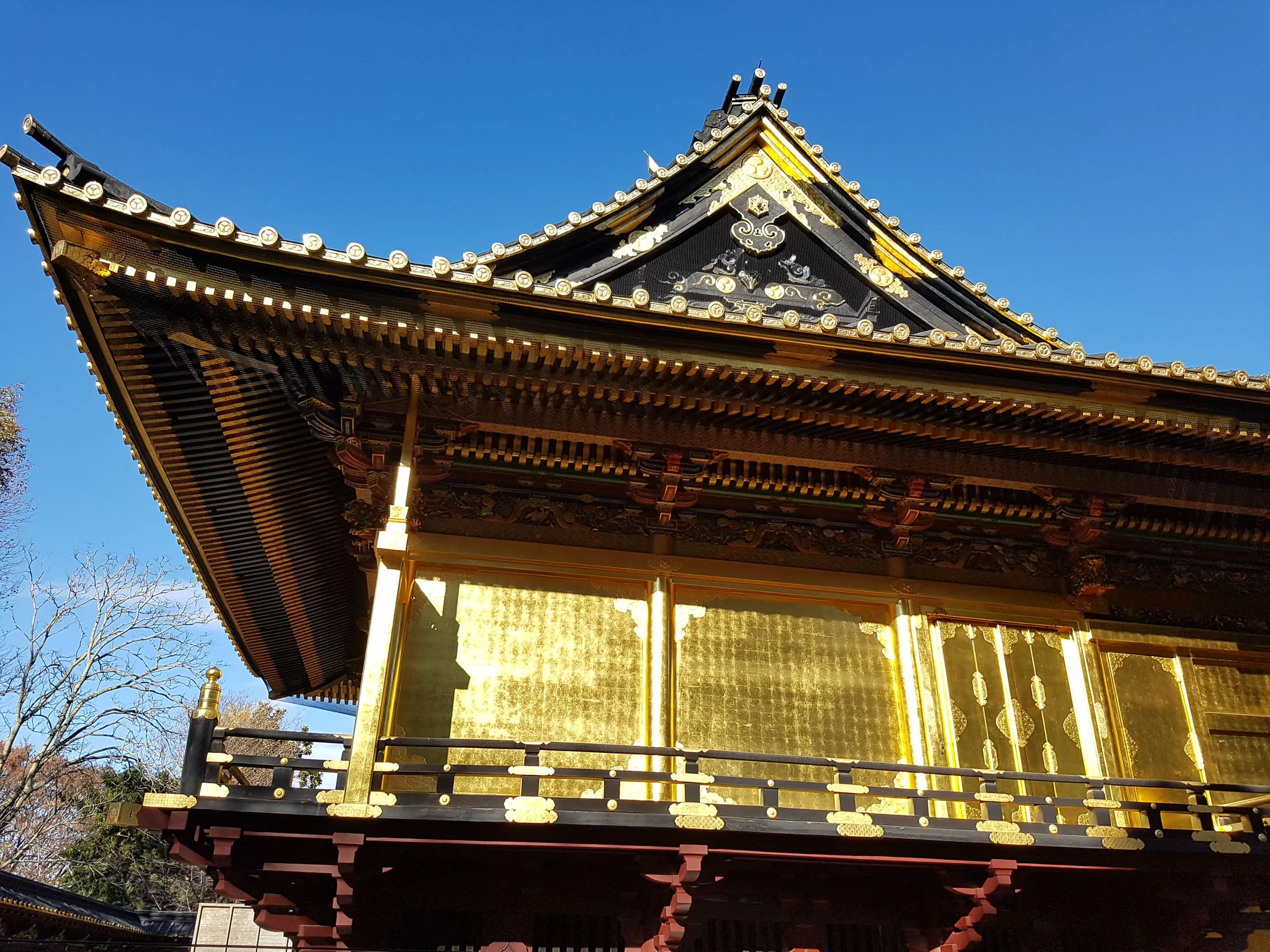 20161211_132700 copy.jpg