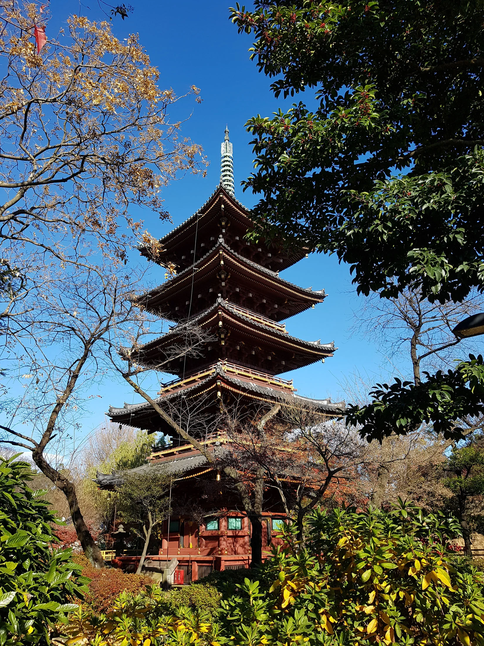 20161211_134202 copy.jpg