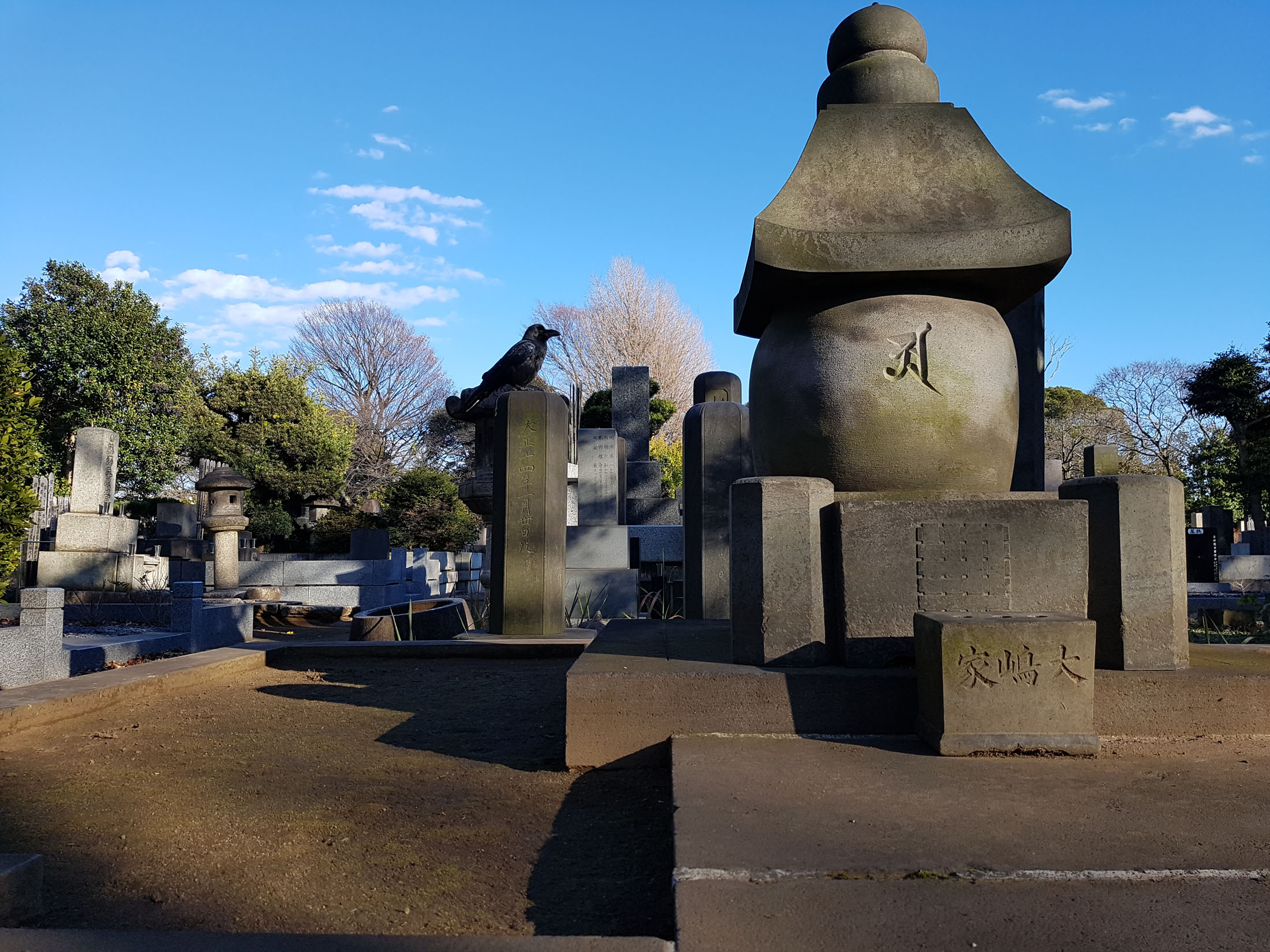 20161211_143335 copy.jpg