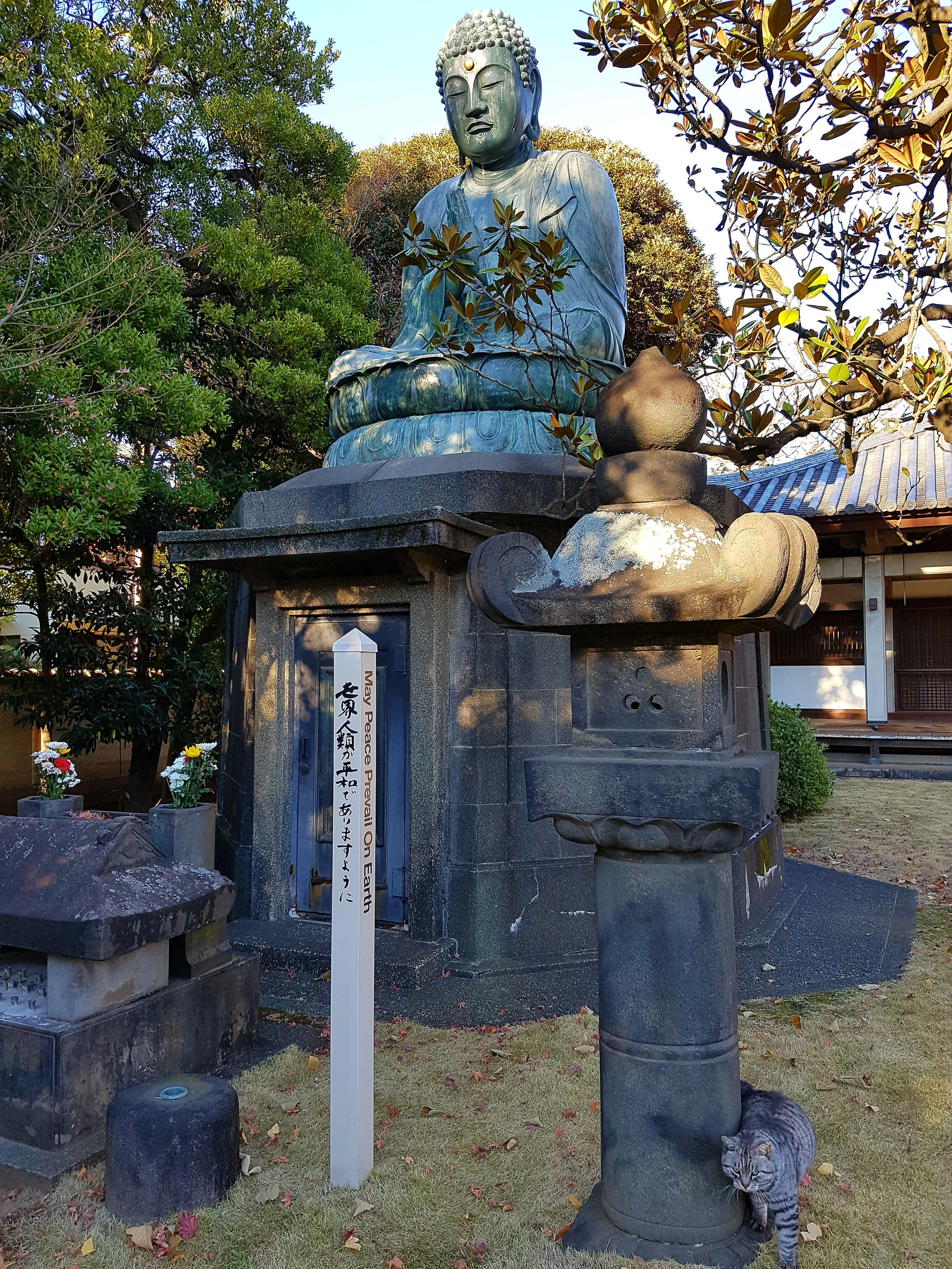 20161211_143703 copy.jpg