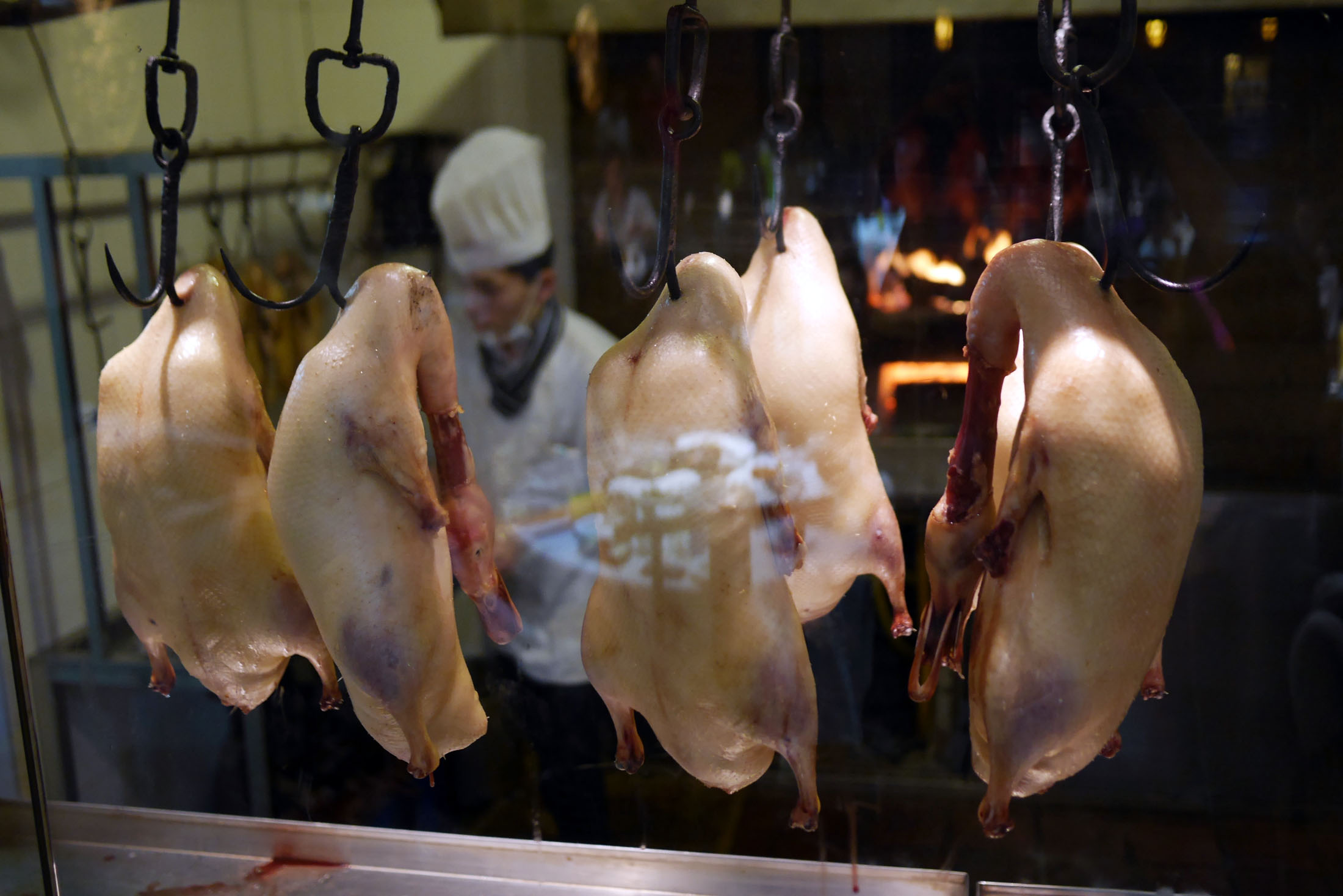 Um pato pra chamar de seu 😋