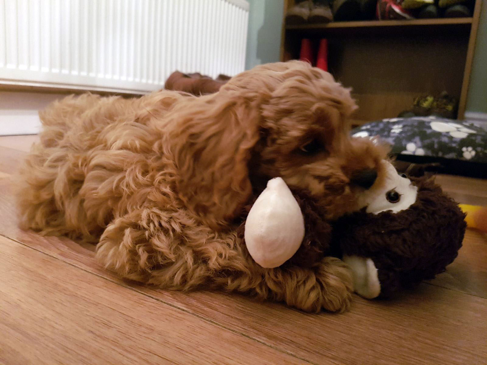 George and the monkey! O monkey "só aparece" na hora de dormir e tem o cheirinho da mamãe e irmãozinhos do George, que também dá a dica que a hora do sono chegou... 