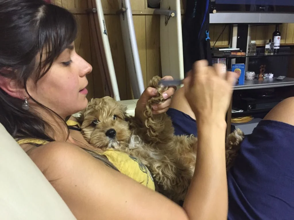 Why do we shape behaviours?