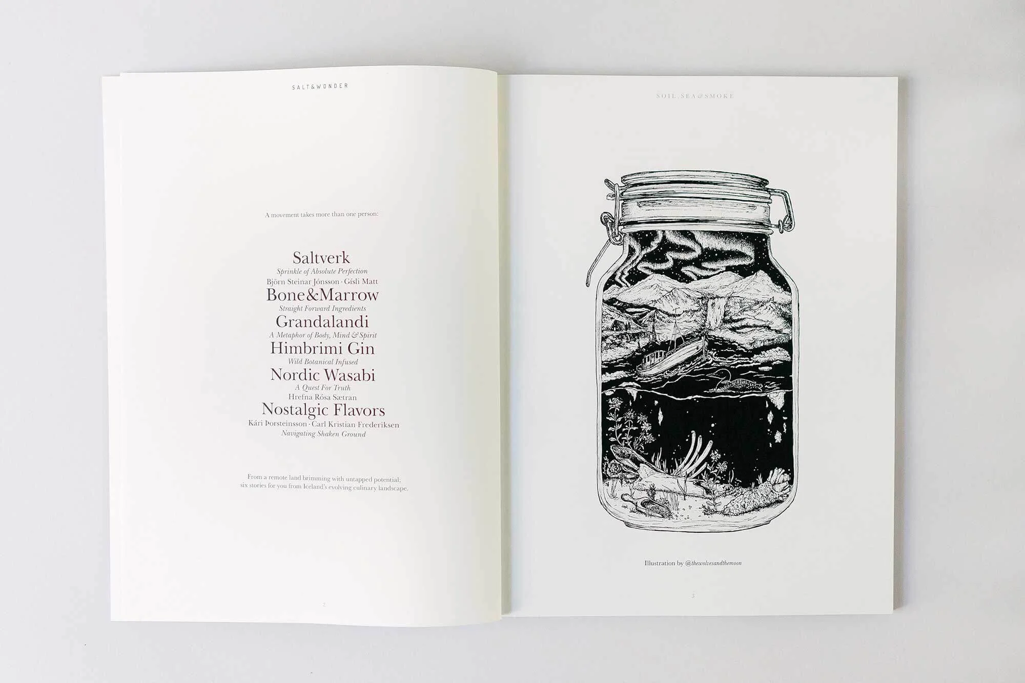 illustration jar iceland