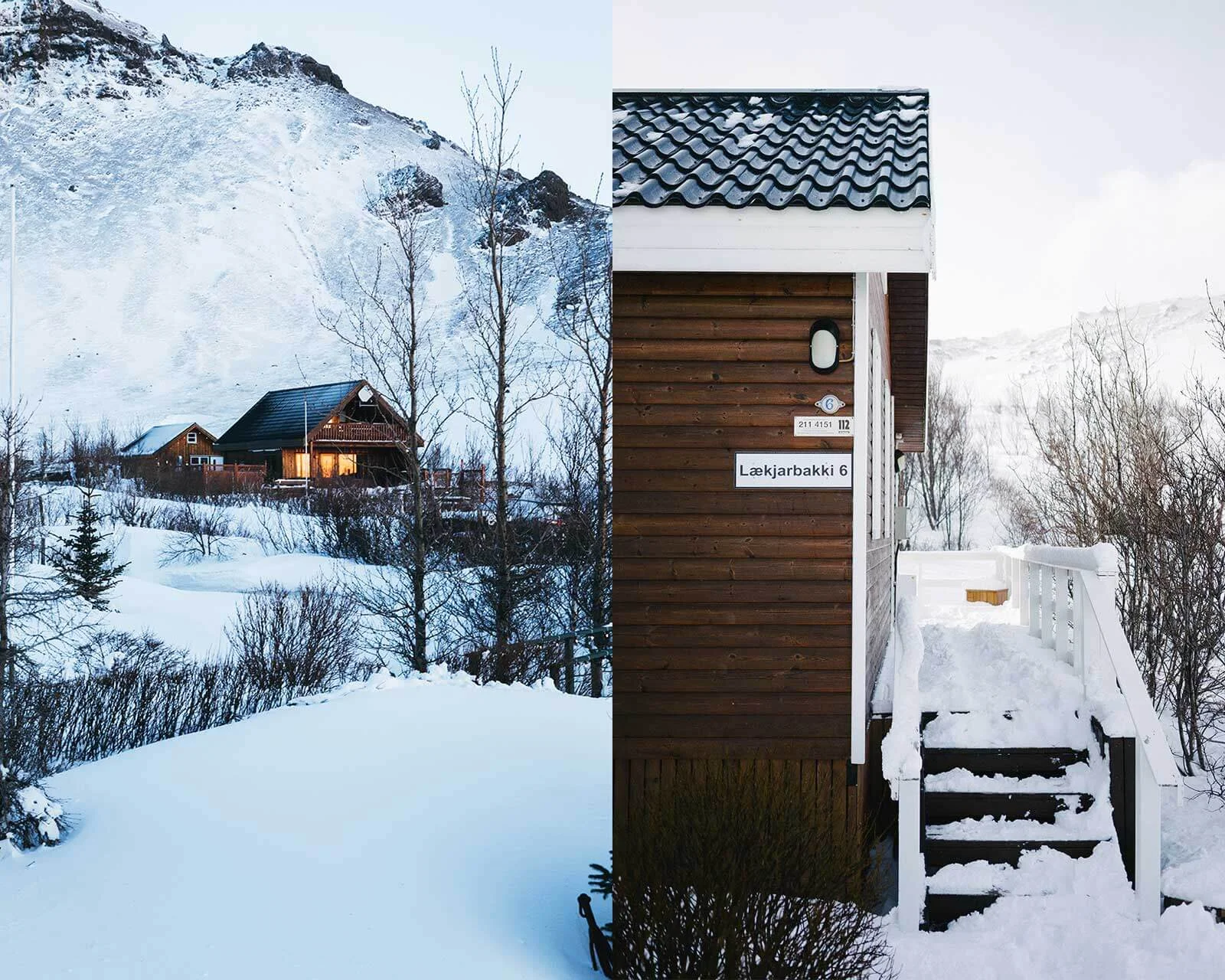 iceland-travel-guide-icelandic-food-reykjavik-adventure-things-to-do-8.jpg