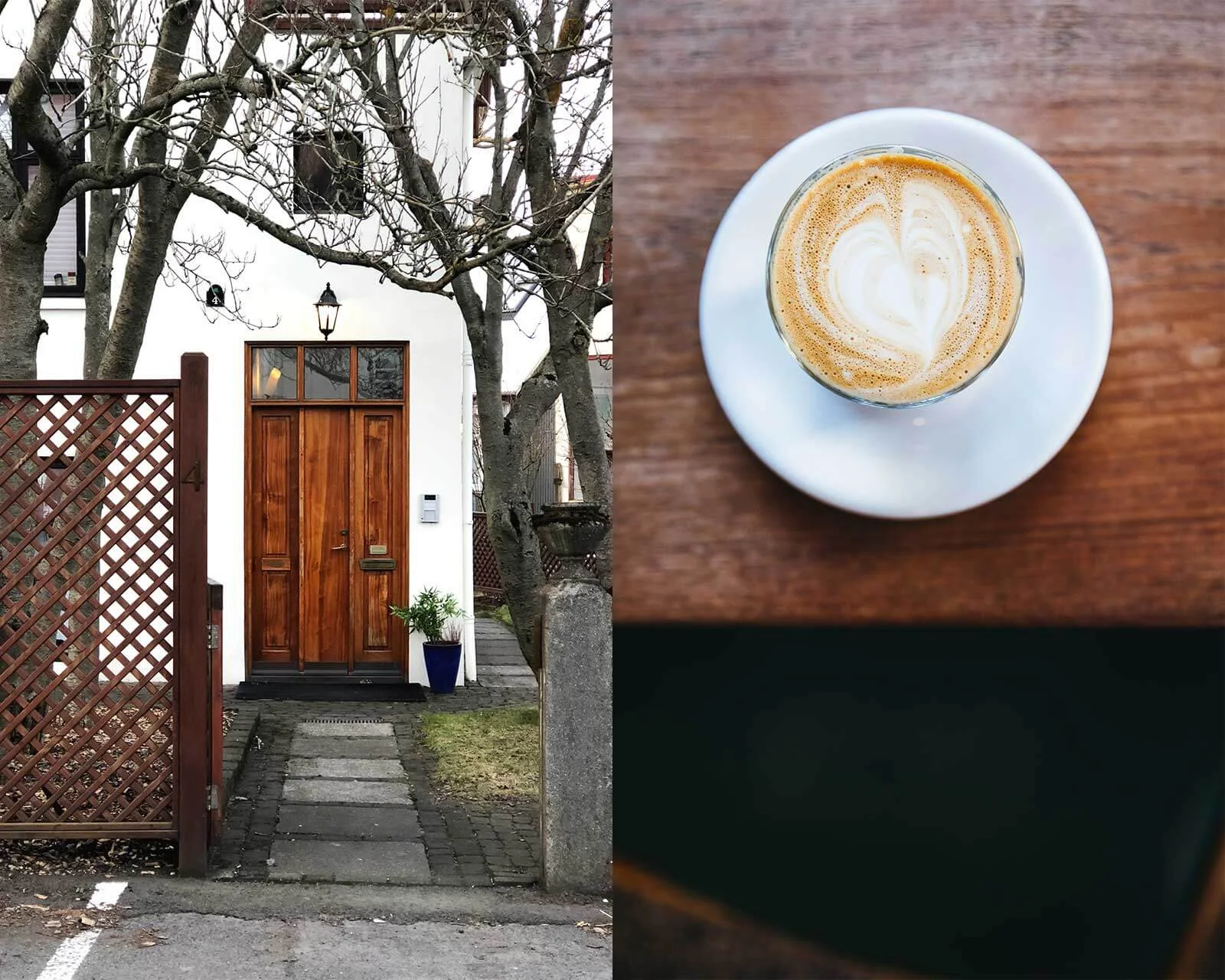 iceland-travel-guide-icelandic-food-reykjavik-adventure-things-to-do-13.jpg