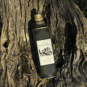 Extra Virgin Olive Oil from Castelo Potentino