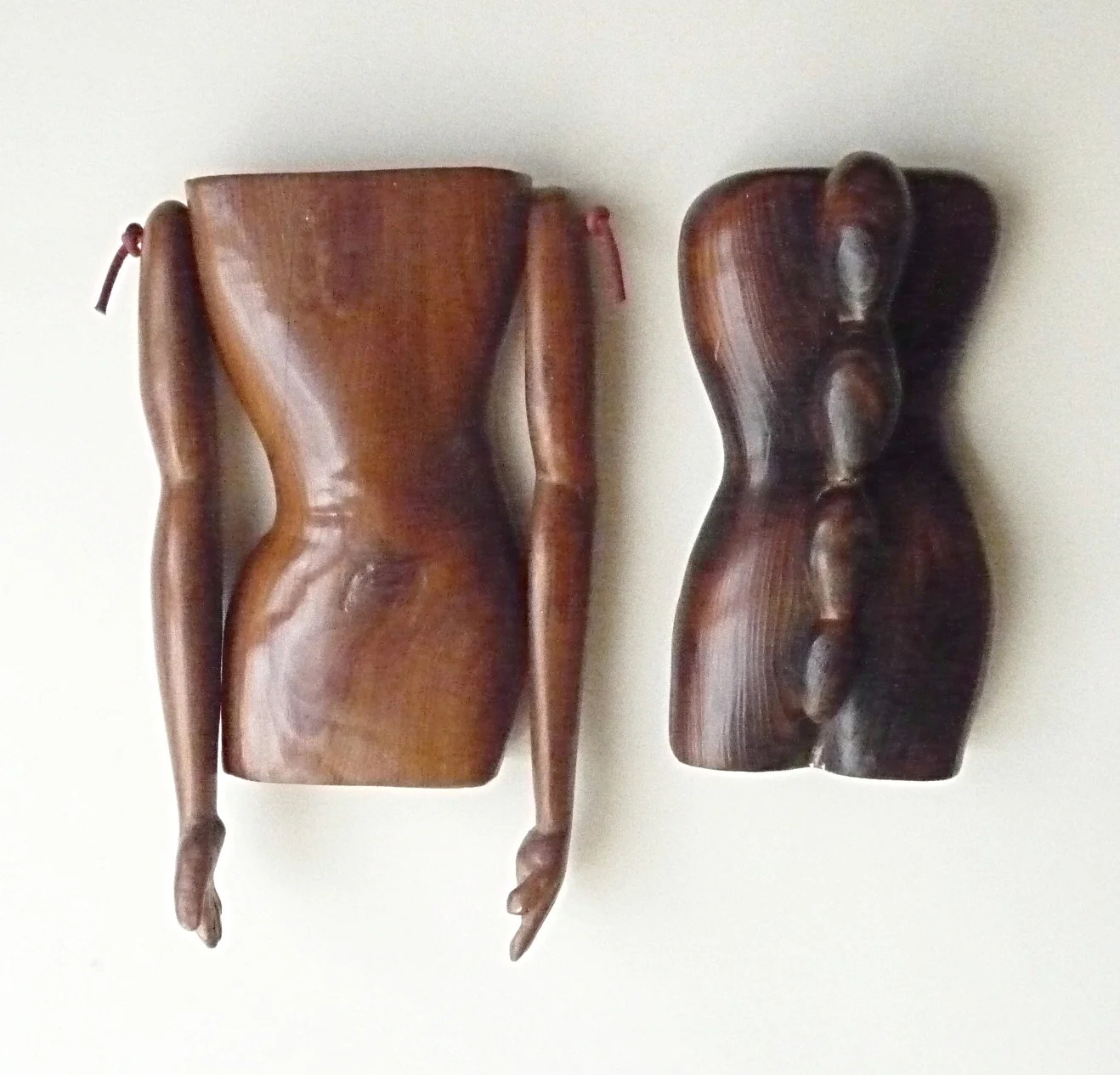 TonyEastmanArtistTwoTorsosTP1080066.jpg