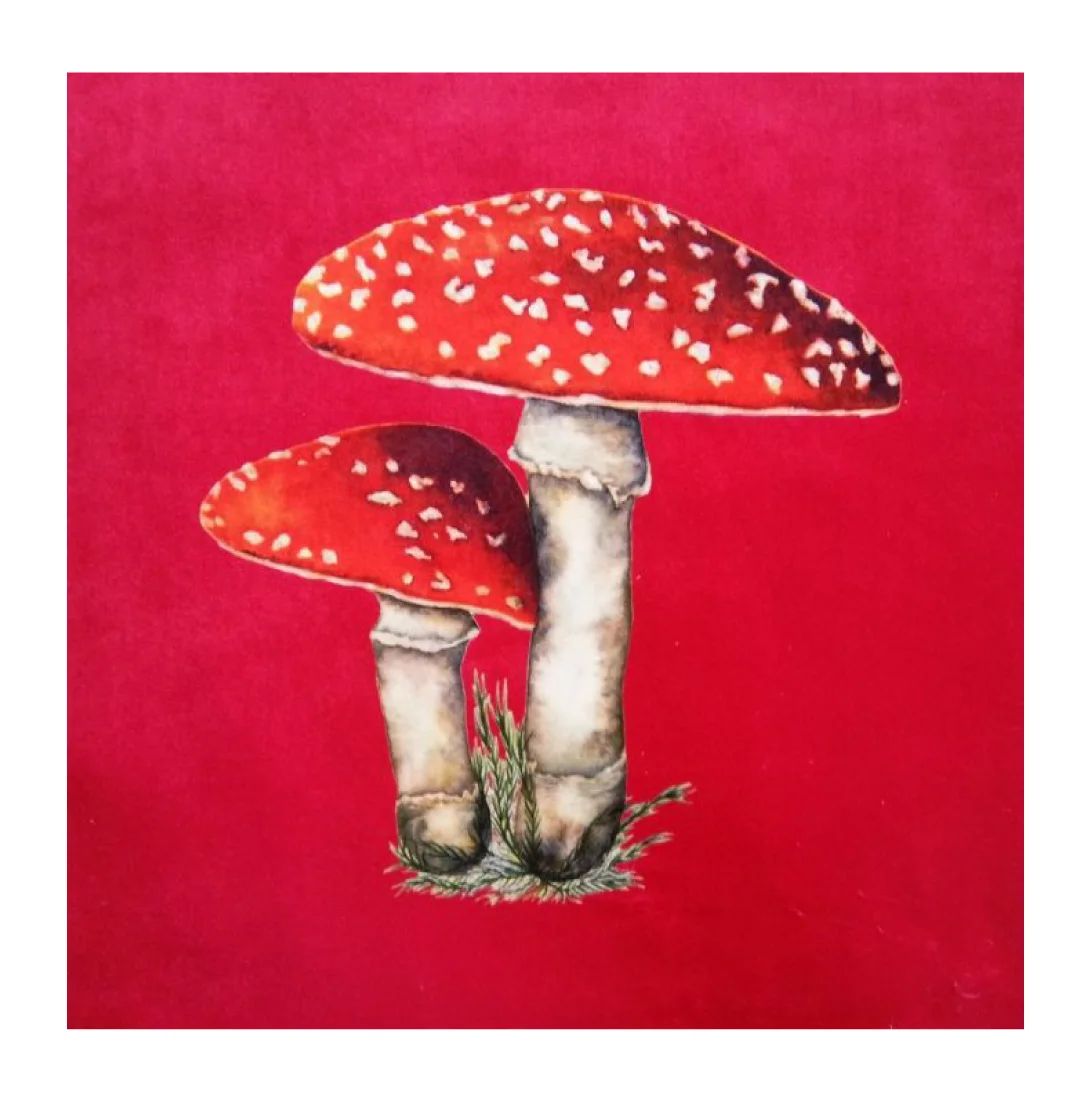 TOADSTOOL STRAWBERRY VELVET.jpg