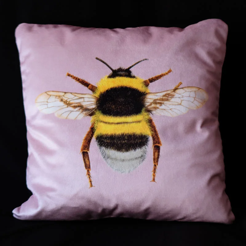 Bumblebee Blush - Velvet.jpg
