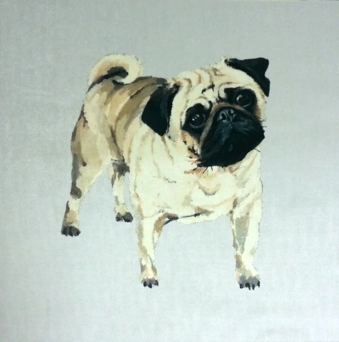 Pug - Velvet